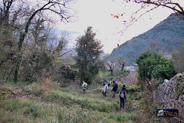 per alberi.JPG